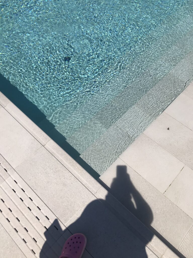 img 7536