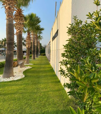 Palm trees cast long shadows on a grassy urban path in Seferihisar, Turkey.